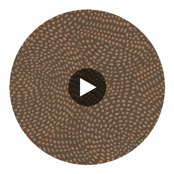Aster - Aster Layered Polyurethane | Philippe Romano Fabrics Circular Swatch | Philippe Romano Fabrics
