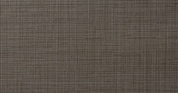 Impromptu Avenue | Wolf Gordon Wallcoverings