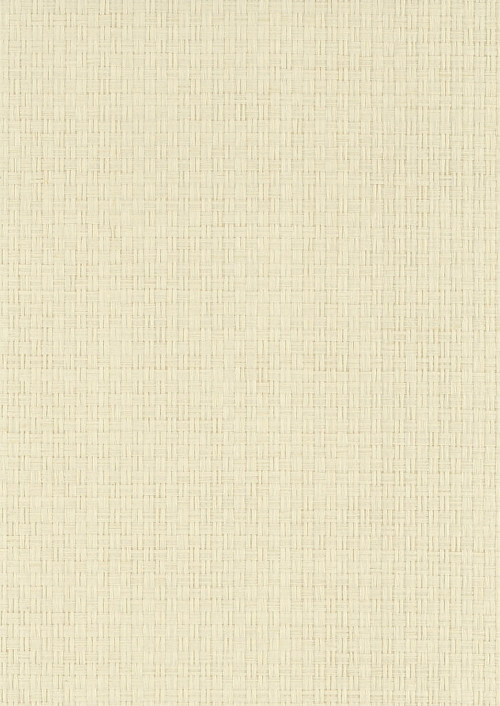 St. Simons-Griege Paper Weave Wallcovering | Phillipe Romano — PWV-500590