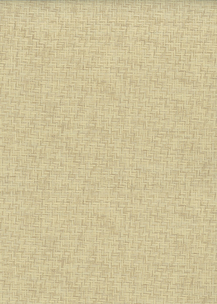 St. Simons-Spring Dandelion Paper Weave Wallcovering | Phillipe Romano — PWV-500550