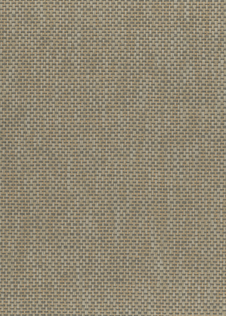 Darien-Grass Cloth Paper Weave Wallcovering | Phillipe Romano — PWV-500040