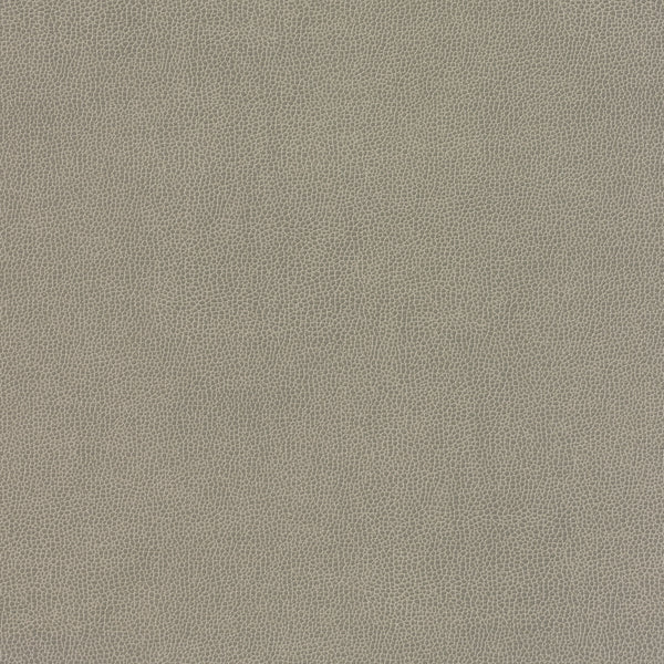 Carnegie Siltech Grain - Color 3