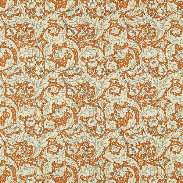Bachelors Button Burnt Orange/Sky | Morris & Co.