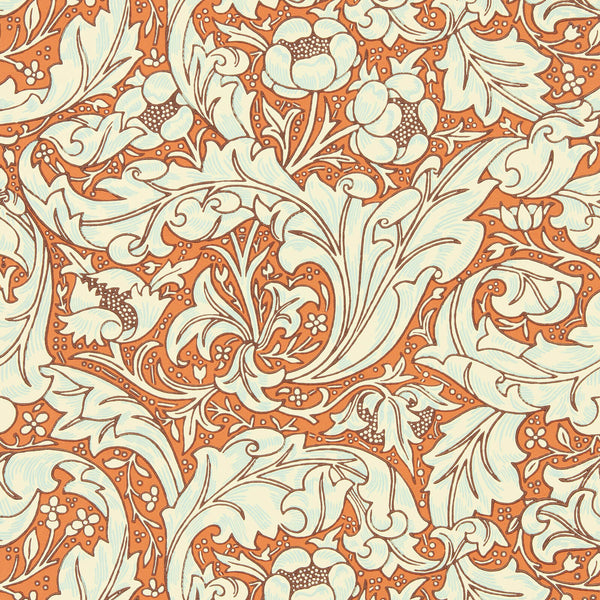 Bachelors Button Burnt Orange/Sky | Morris & Co.