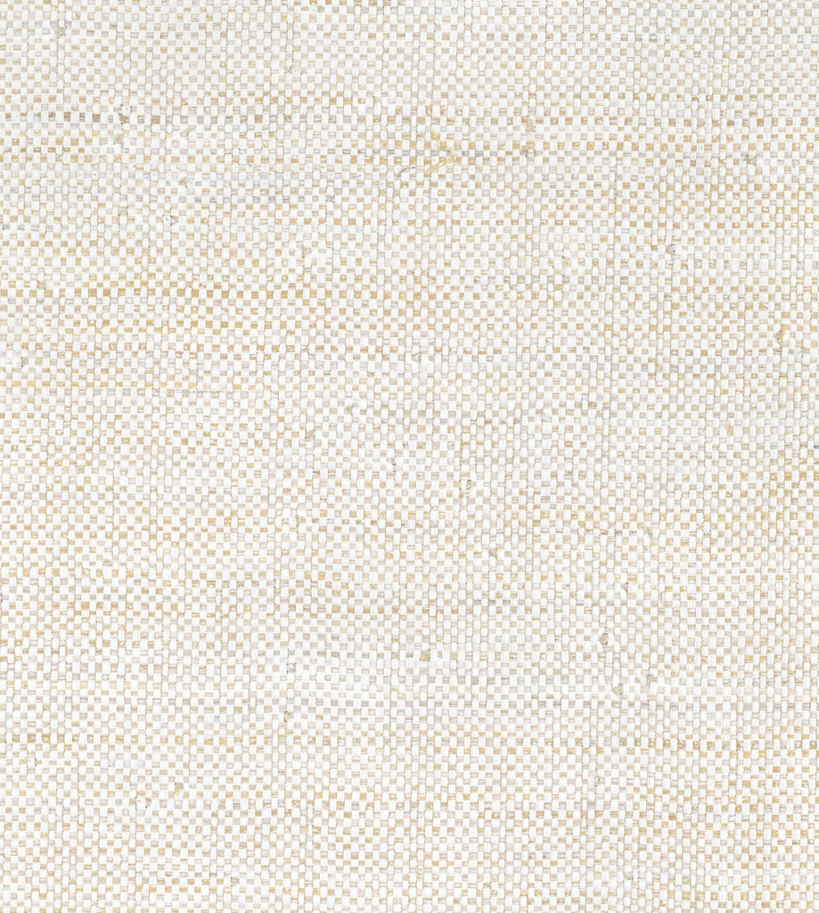 Sea Bright-Plain Paper Weave,raffia Paper Weave Wallcovering | Phillipe Romano — PWV-500950
