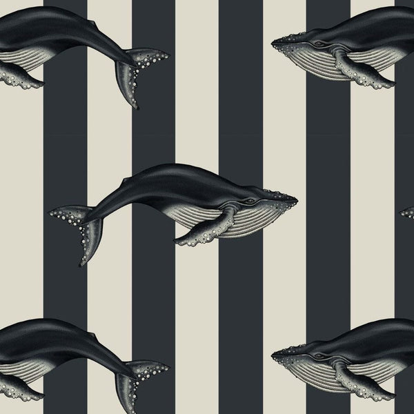 Baleana Cream & Aegean Blue, Sample Wallcoverings | House of Hackney