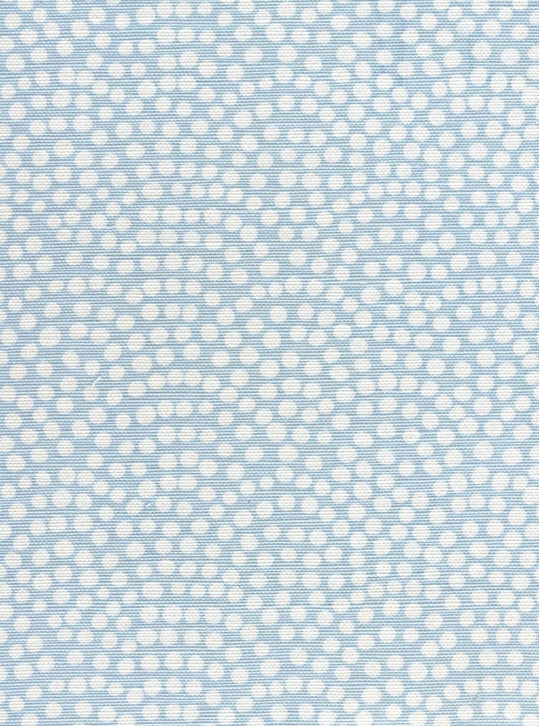 Bali Blue on White