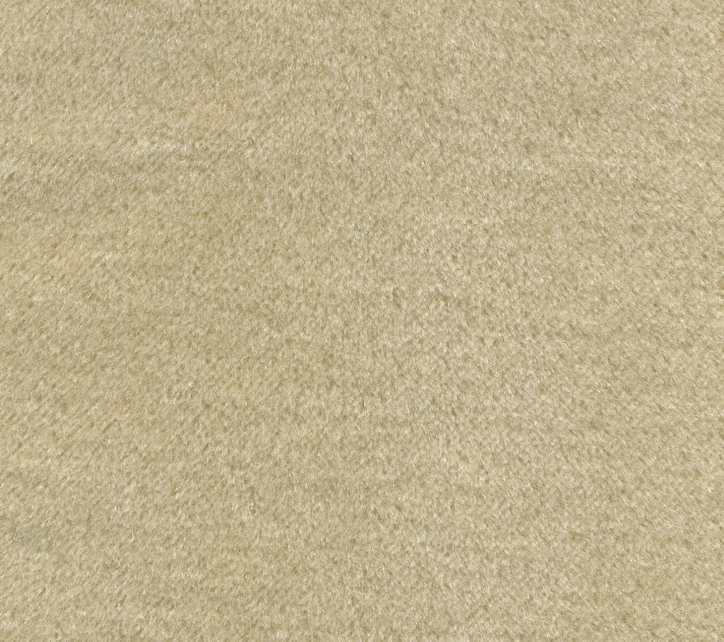 Bamboo