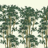 Bambusa Antique White, Sample