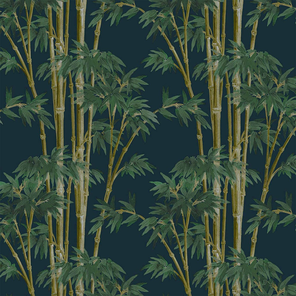 Bambusa Midnight, Sample