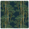 Bambusa Midnight Velvet, Yard