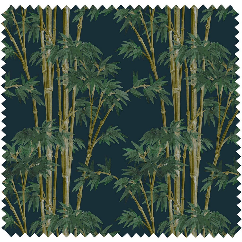 Bambusa Midnight Velvet, Yard