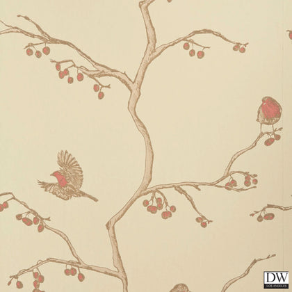 The English Robin - Parchment