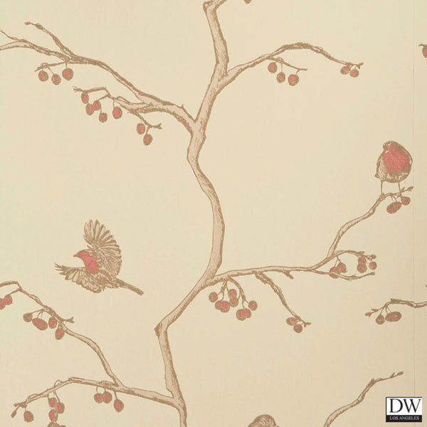 The English Robin - Parchment