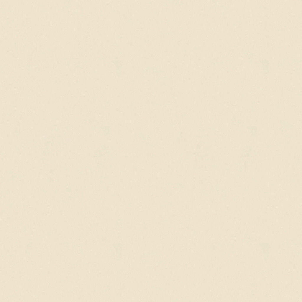 Ap Longlife Colours Beige Wallcovering | AS Creation