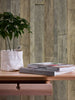 Elements Ii Gray Wallcovering | AS Creation