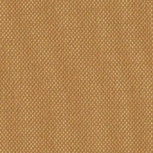 Berryville Beige