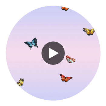 Bella Butterflies on Pastel Circular Swatch | Fentucci