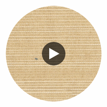 Benedict Canyon Sisal | Hollywood Wallcoverings Circular Swatch | Hollywood Wallcoverings