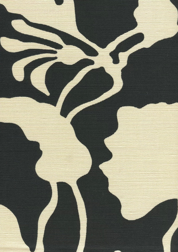 Black on Tint Wallcoverings | Alan Campbell