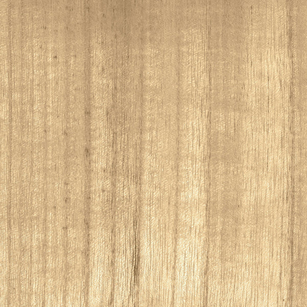 Bois Blond | CMO Paris