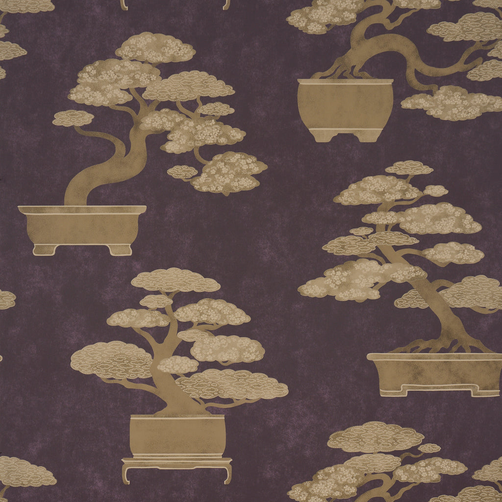 BONSAI TREE AUBERGINE | Schumacher - Image 1