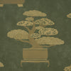 BONSAI TREE OLIVE | Schumacher - Image 6