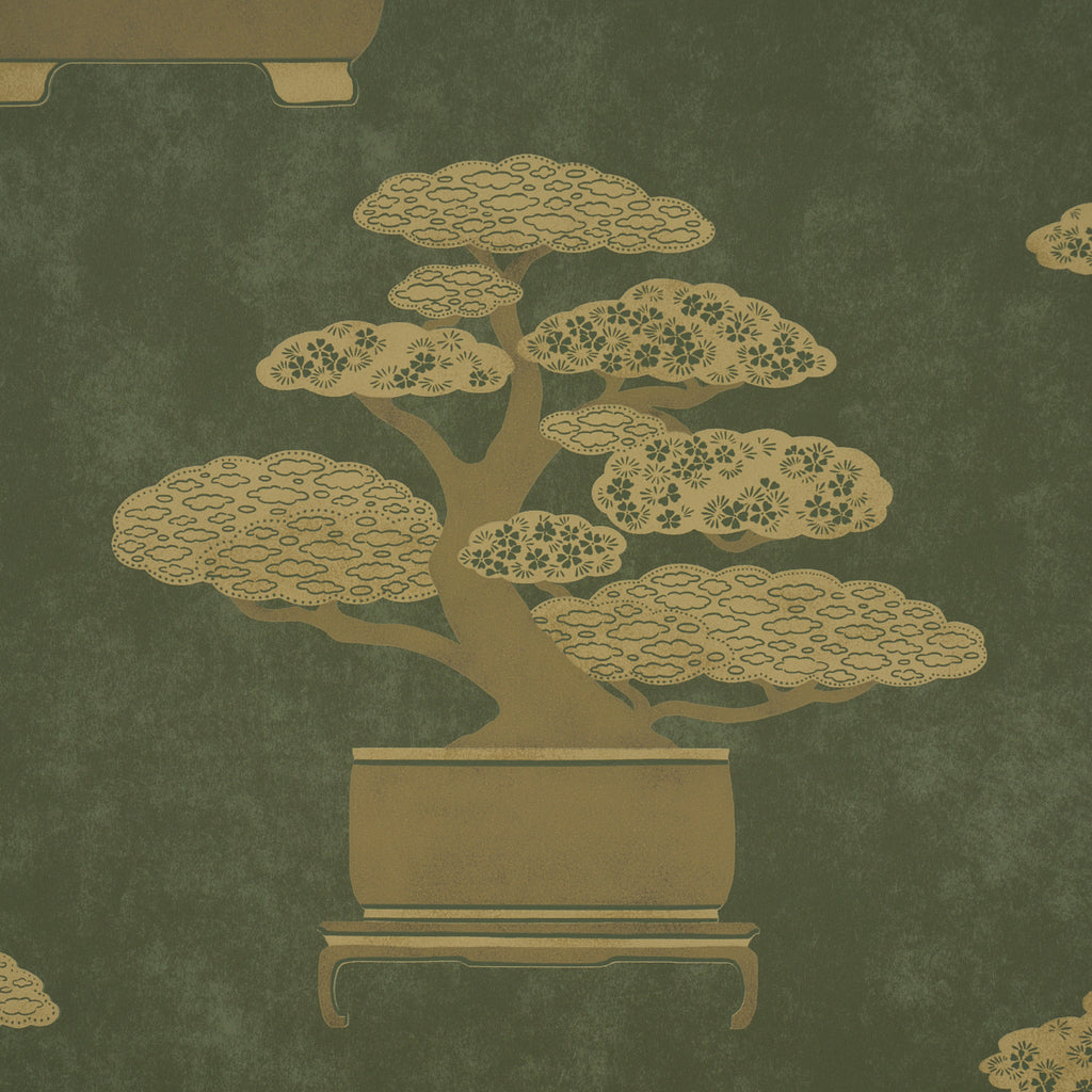 BONSAI TREE OLIVE | Schumacher - Image 6