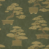 BONSAI TREE OLIVE | Schumacher - Image 1