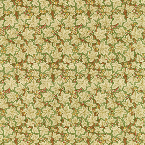 Bramble Herball | Morris & Co.