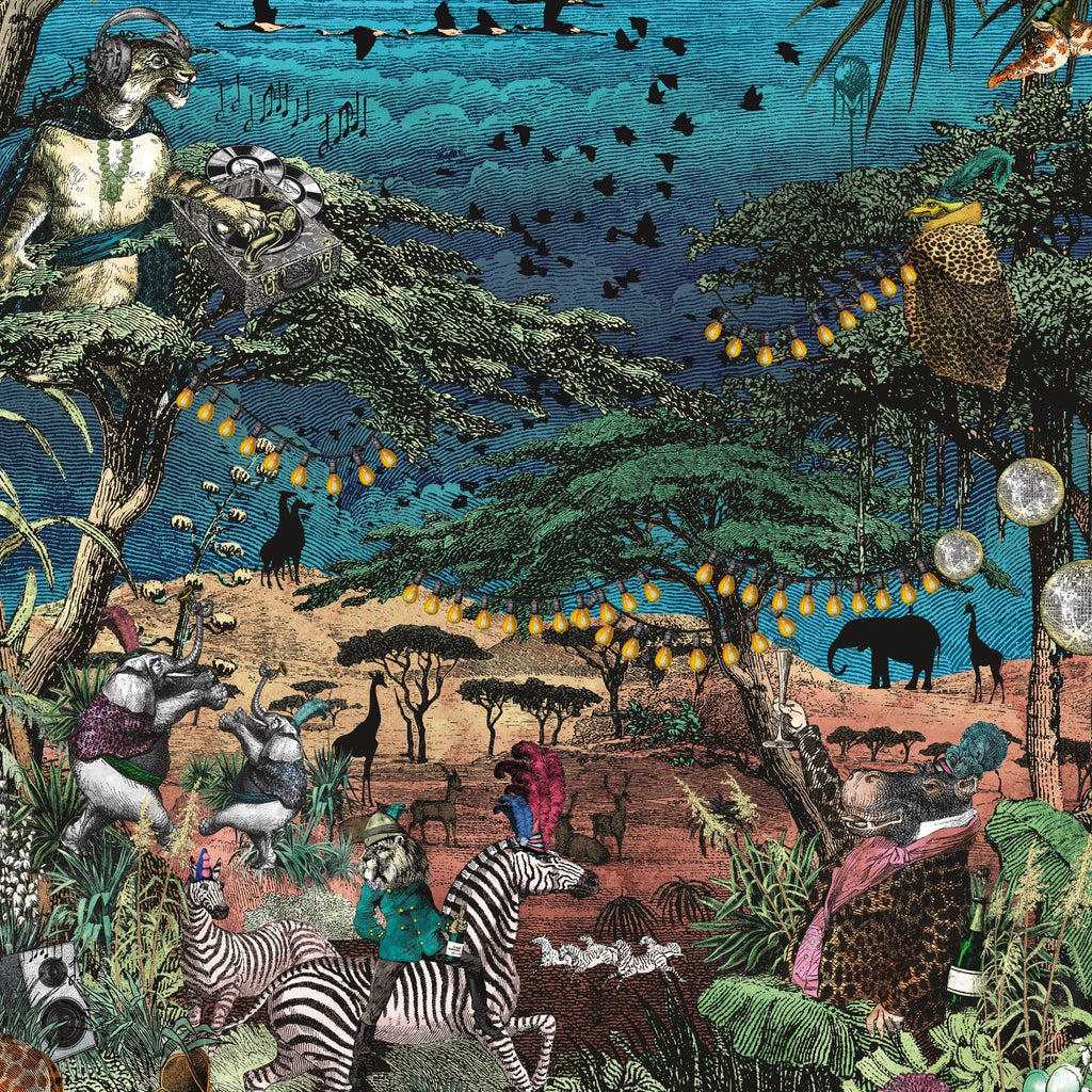 Brand Mckenzie Groove Inferno BMGI006/01A - Image 2