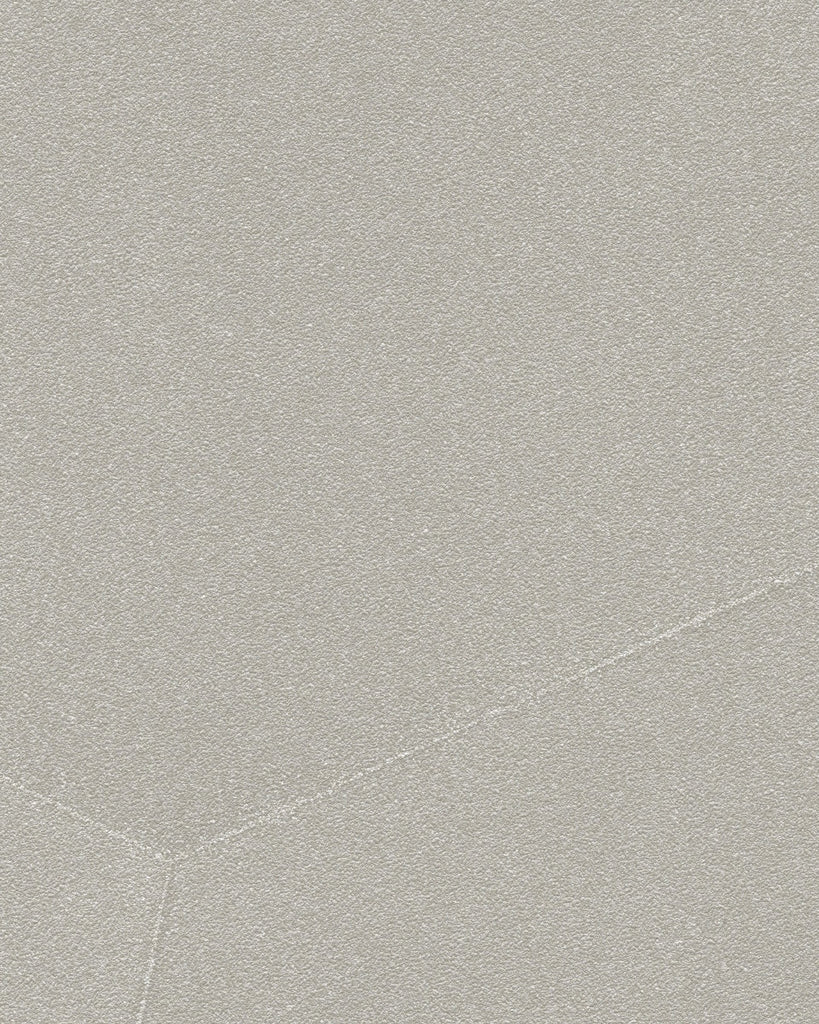 Brussels Moondust Rays Gravel Wallcovering | Phillipe Romano