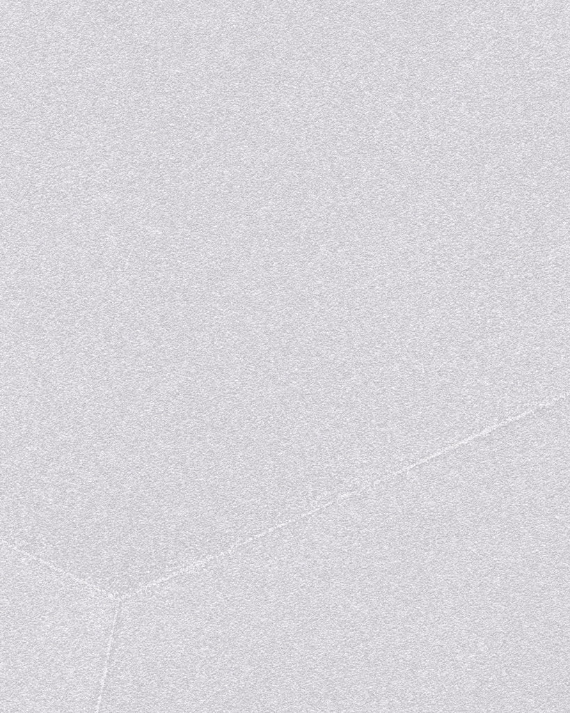 Brussels Moondust Rays Quartz Wallcovering | Phillipe Romano