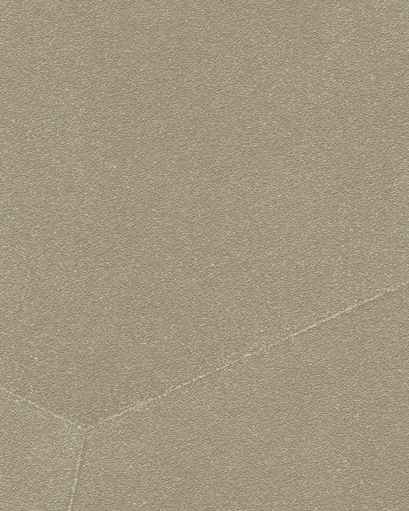 Brussels Moondust Rays Warm Granite Wallcovering | Phillipe Romano