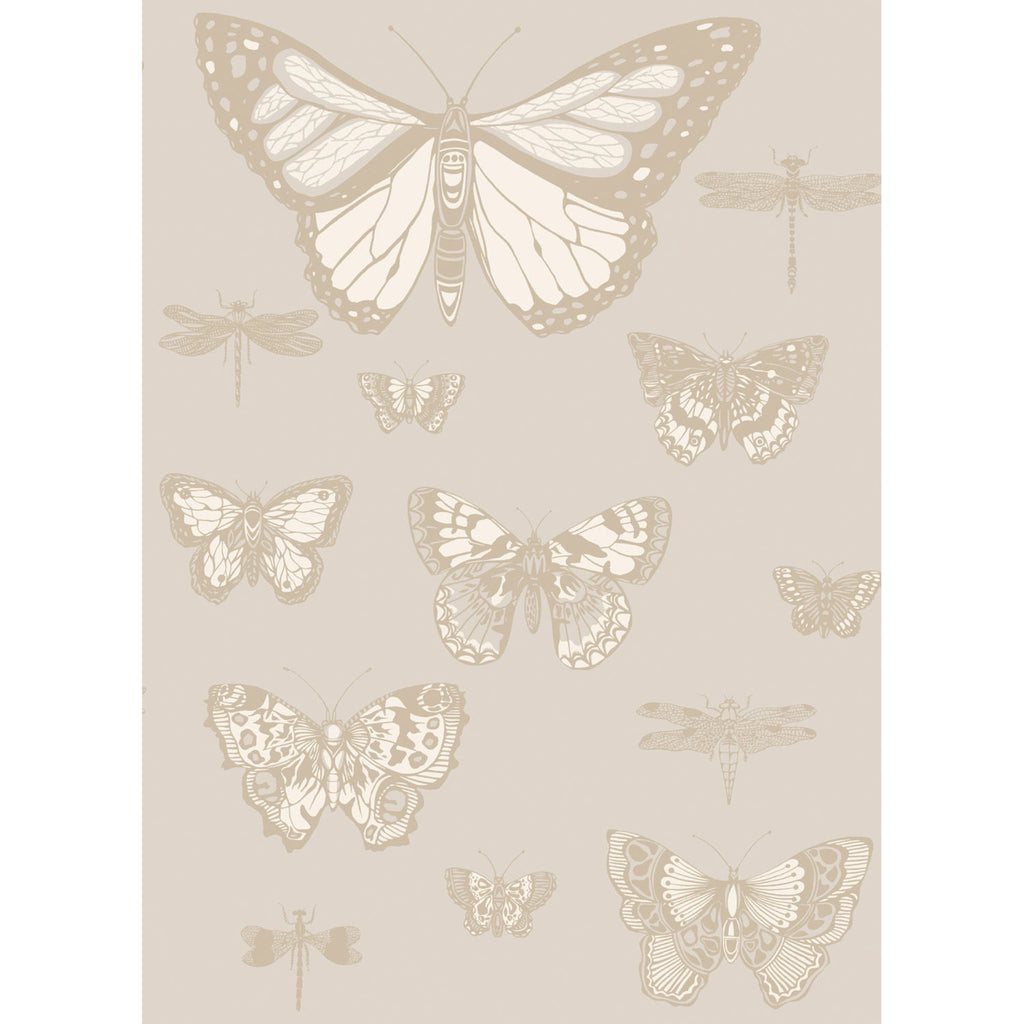 Butterflies & Dragonflies - Grey