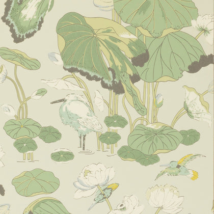 Nympheus - Botanical  By G P & J Baker | Signature |Animal/Insects Botanical & Floral Wallcovering Print