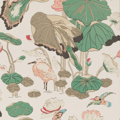 Nympheus - Soft Blush Pink By G P & J Baker | Signature |Animal/Insects Botanical & Floral Wallcovering Print