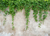 Designwalls Beige Wallcovering | AS Creation