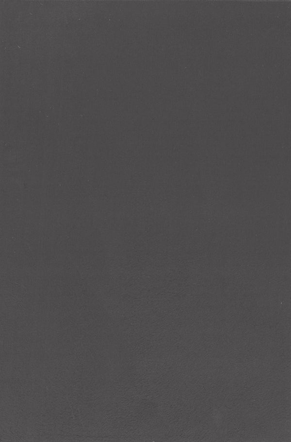 Key West-Black Onyx Suede Wallcovering | Phillipe Romano