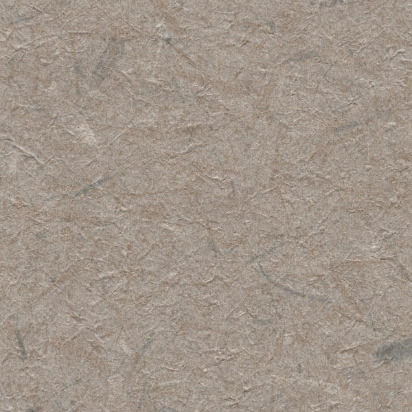 Chimayo Rancheros - Taupe Commercial Wallcovering | Koroseal