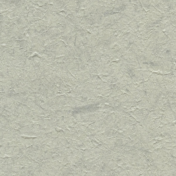 Chimayo Aloe Vera - Pale Beige Commercial Wallcovering | Koroseal