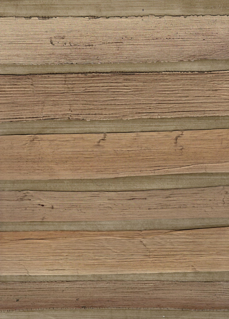 Montecito-Mustard Gold Arrowroot Wallcovering | Phillipe Romano — ARWR-500020
