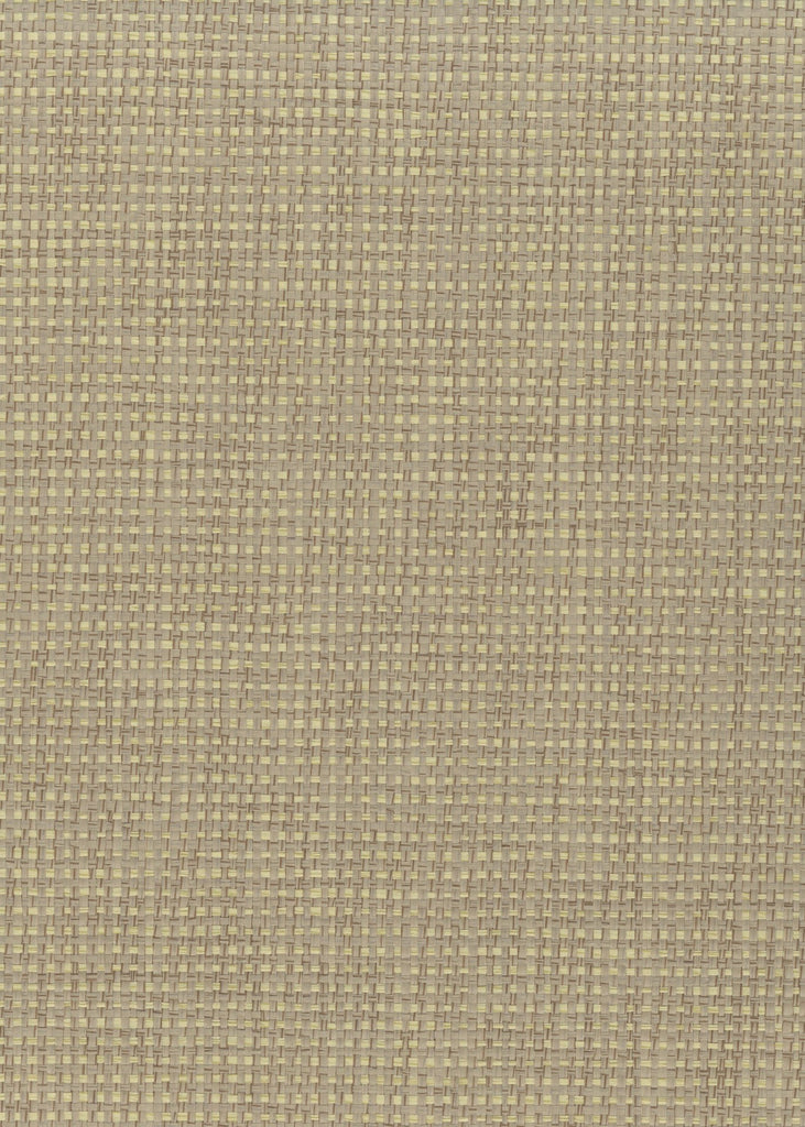 Darien-Soft Camel Paper Weave Wallcovering | Phillipe Romano — PWV-500100