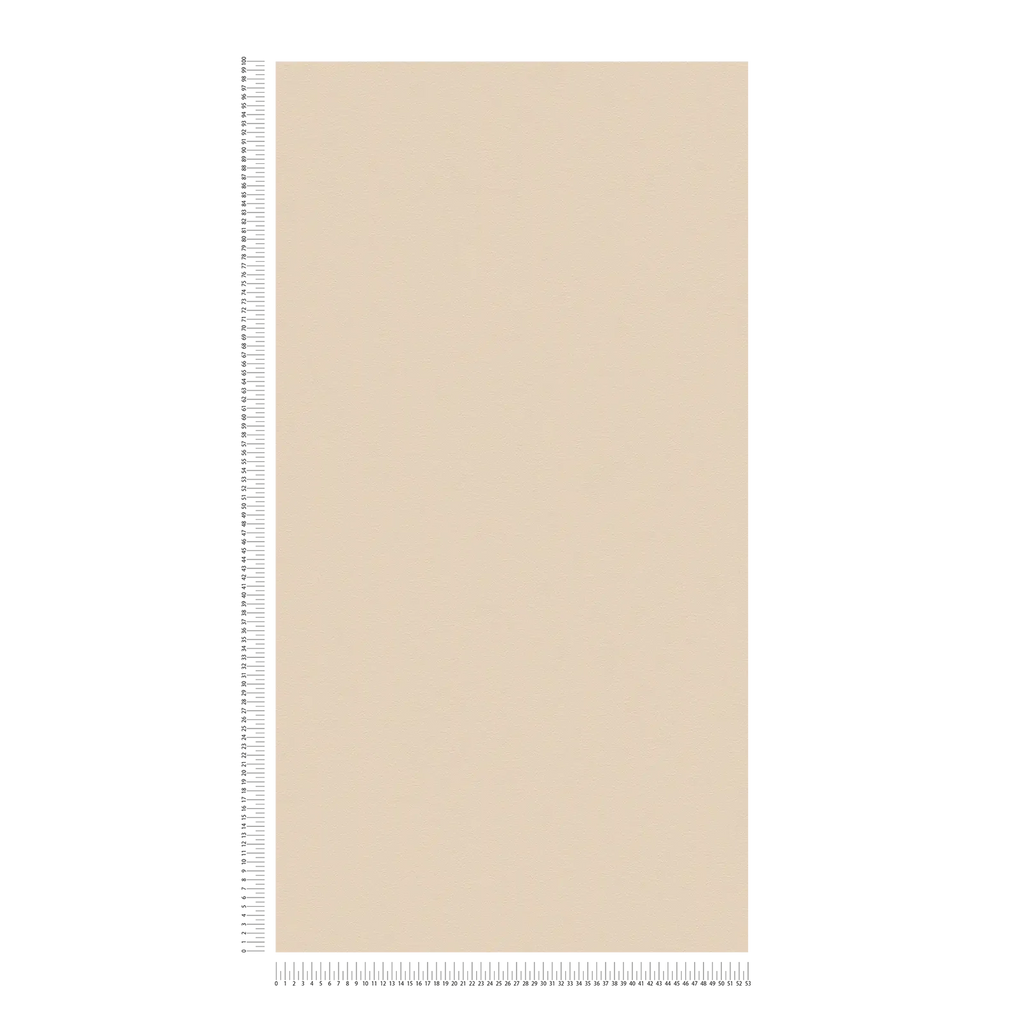Styleguide Nature 2027 Beige Wallcovering | AS Creation