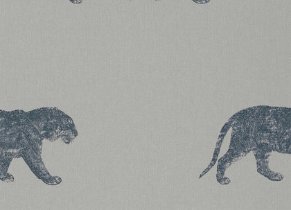 Cheetahs | Coordone Europe