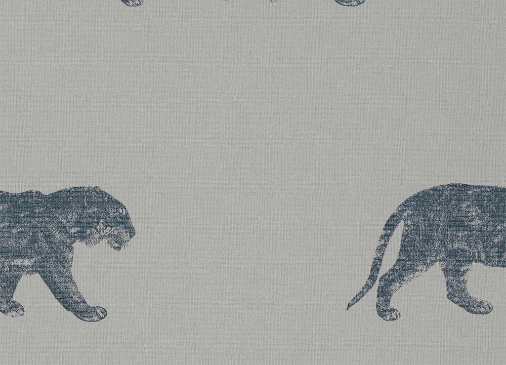 Cheetahs