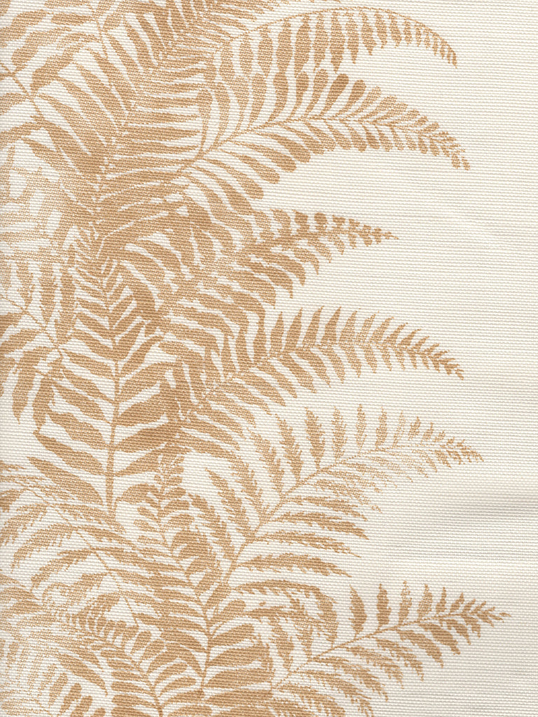 Fern Cliff, Camel on Light Tint