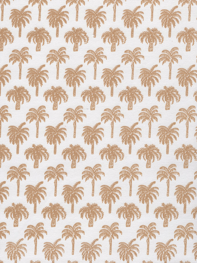 Camel on White