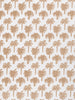 Camel on White