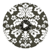 Camila Black Modern Damask Wallcovering Wallcovering Circular Swatch | LA Walls